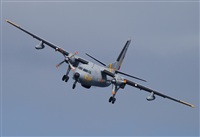 Alejandro H.L - Gran Canaria Spotters. Click to see full size photo