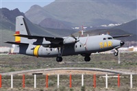 Alfonso Sols - Asociacin Canary Islands Spotting. Click to see full size photo