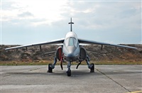 JAVIER  BARBE(SPOTTER MAOS). Click to see full size photo