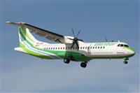 Adrin Alonso Lemes - Lanzarote Spotters. Haz click para ampliar