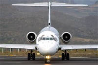 Javier de la Cruz - CANARY ISLANDS SPOTTING. Click to see full size photo