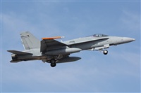 ©Fco Javier Chao. Click to see full size photo ©Fco Javier Chao. Click to see full size photo