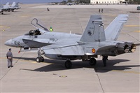 ©Alfonso Solís - Asociación Canary Islands Spotting. Click to see full size photo ©Alfonso Solís - Asociación Canary Islands Spotting. Click to see full size photo