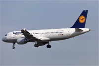 Florencio Martn Melin - Lanzarote Spotters. Click to see full size photo