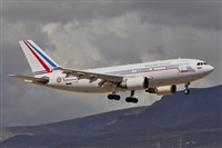 Miguel A. gueda Rguez.  (CANARY ISLANDS SPOTTING). Click to see full size photo