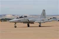 Fernando Puppio - GACETA AERONUTICA. Haz click para ampliar
