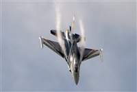 Tams. Click to see full size photo