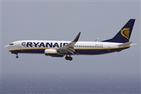 Alfonso Sols - Asociacin Canary Islands Spotting. Click to see full size photo