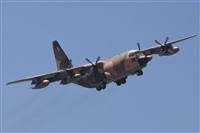 J. Victor Vega-Gran Canaria Spotters. Click to see full size photo
