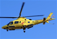 Alejandro H.L - Gran Canaria Spotters. Click to see full size photo