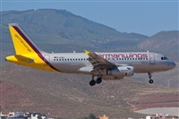 Luciano Fumero( freedom spotter)canary island spotting. Click to see full size photo