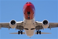 Saimon J Rodriguez   -   Canary Islands Spotting. Click to see full size photo