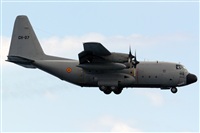 Adolfo Bento - Gran Canaria Spotters. Click to see full size photo