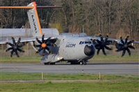Rubn Gil - Noisy Spotters. Click to see full size photo