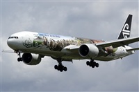 Rubn Gil - Noisy Spotters. Click to see full size photo