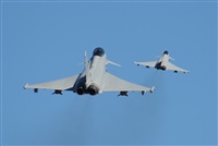 Rodrigo Carvalho - Noisy Spotters. Click to see full size photo