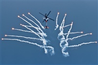 Paulo Antunes. Haz click para ampliar