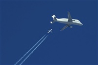 Rodrigo Carvalho - Noisy Spotters. Haz click para ampliar