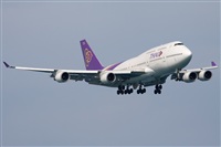 Miguel Alia - Noisy Spotters. Click to see full size photo