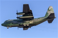 Adolfo Bento - Gran Canaria Spotters. Click to see full size photo