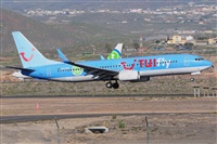 Miguel A. gueda Rguez.  (CANARY ISLANDS SPOTTING). Click to see full size photo
