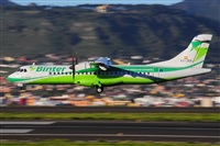 Miguel A. gueda Rguez.  (CANARY ISLANDS SPOTTING). Haz click para ampliar