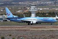 ©Alfonso Solís - Asociación Canary Islands Spotting. Click to see full size photo ©Alfonso Solís - Asociación Canary Islands Spotting. Click to see full size photo