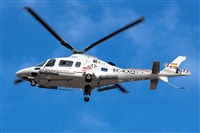 ©Bartolomé Fernández - Gran Canaria Spotters. Click to see full size photo ©Bartolomé Fernández - Gran Canaria Spotters. Click to see full size photo