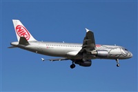 Nacho Rodriguez - Canary Islands Spotting. Click to see full size photo