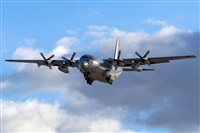 ©Adolfo Bento - Gran Canaria Spotters. Click to see full size photo ©Adolfo Bento - Gran Canaria Spotters. Click to see full size photo