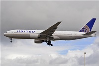 Miguel A. gueda Rguez.  (CANARY ISLANDS SPOTTING). Click to see full size photo