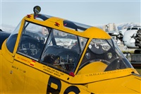 Ramon Jordi. Click to see full size photo