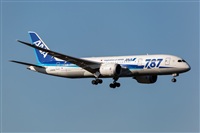 Javier de la Cruz - CANARY ISLANDS SPOTTING. Click to see full size photo