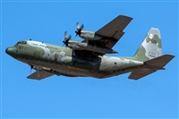 Bartolom Fernndez - Gran Canaria Spotters. Click to see full size photo