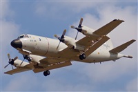 Fco Javier Garca Ruiz. Click to see full size photo