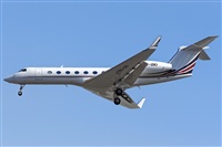 Bartolom Fernndez - Gran Canaria Spotters. Click to see full size photo