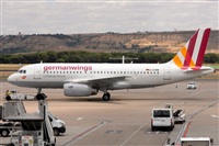 Miguel A. gueda Rguez.  (CANARY ISLANDS SPOTTING). Click to see full size photo