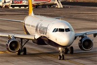 Javier de la Cruz - CANARY ISLANDS SPOTTING. Click to see full size photo