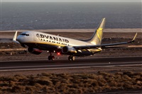 Javier de la Cruz - CANARY ISLANDS SPOTTING. Click to see full size photo