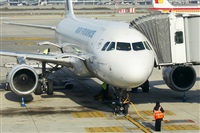 Nacho Rodriguez - Canary Islands Spotting. Click to see full size photo