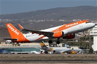 Alfonso Sols - Asociacin Canary Islands Spotting. Click to see full size photo