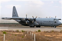 Fco Javier Garca Ruiz. Click to see full size photo