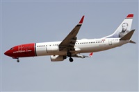 ©Alfonso Solís - Asociación Canary Islands Spotting. Click to see full size photo ©Alfonso Solís - Asociación Canary Islands Spotting. Click to see full size photo