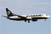Alfonso Sols - Asociacin Canary Islands Spotting. Click to see full size photo