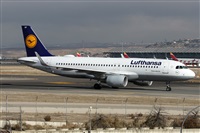 Alfonso Sols - Asociacin Canary Islands Spotting. Click to see full size photo