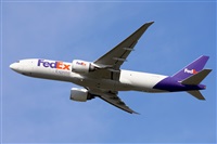 Miguel A. gueda Rguez.  (CANARY ISLANDS SPOTTING). Click to see full size photo
