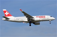 Miguel A. gueda Rguez.  (CANARY ISLANDS SPOTTING). Click to see full size photo