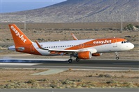 Miguel A. gueda Rguez.  (CANARY ISLANDS SPOTTING). Click to see full size photo