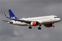 Alfonso Sols - Asociacin Canary Islands Spotting. Click to see full size photo