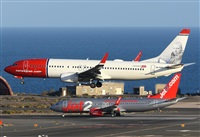 ©Alejandro H.L - Gran Canaria Spotters. Click to see full size photo ©Alejandro H.L - Gran Canaria Spotters. Click to see full size photo